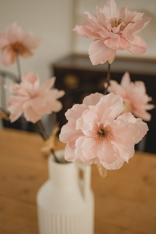 Wild Peony