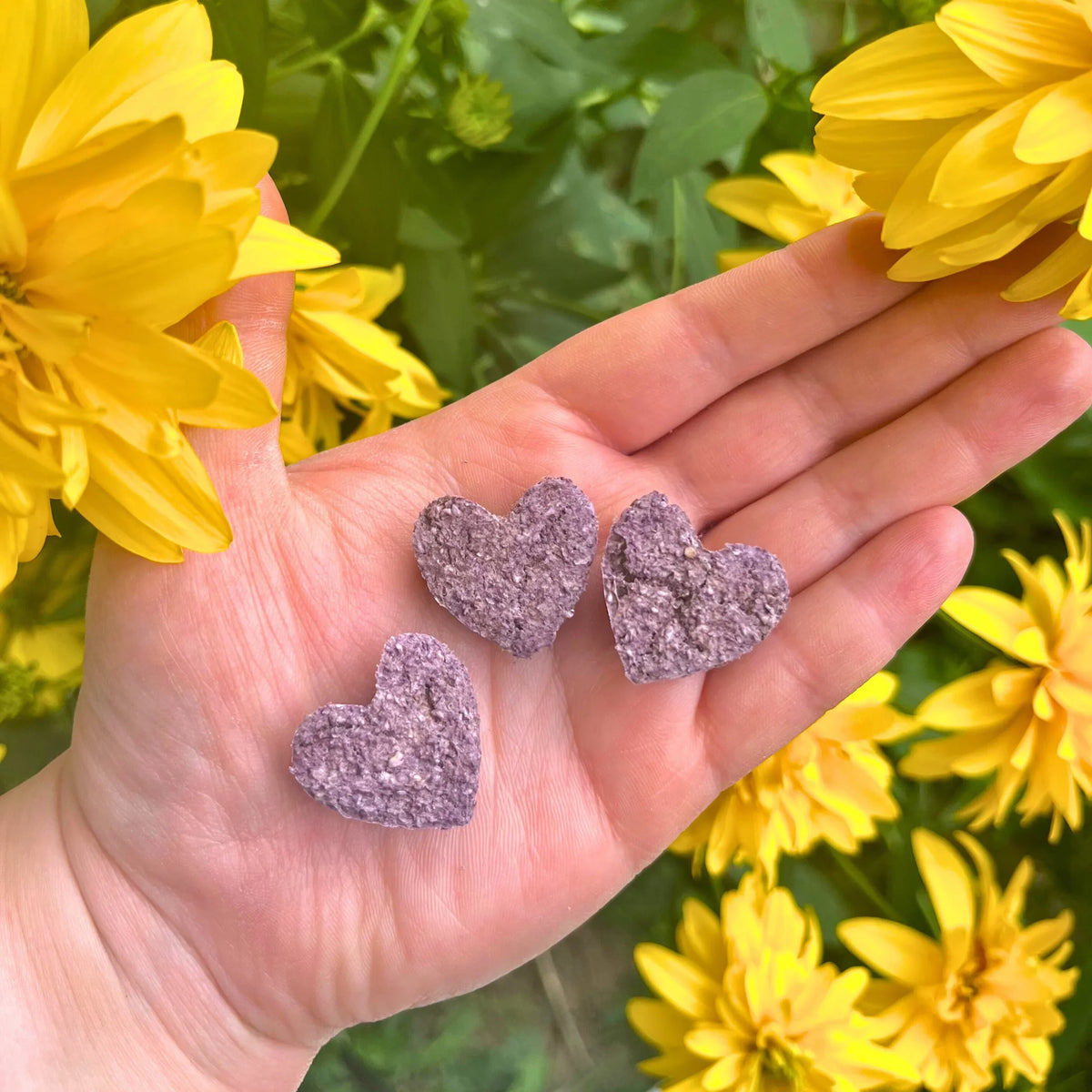 Blueberry Oaty Hearts for Small Animals
