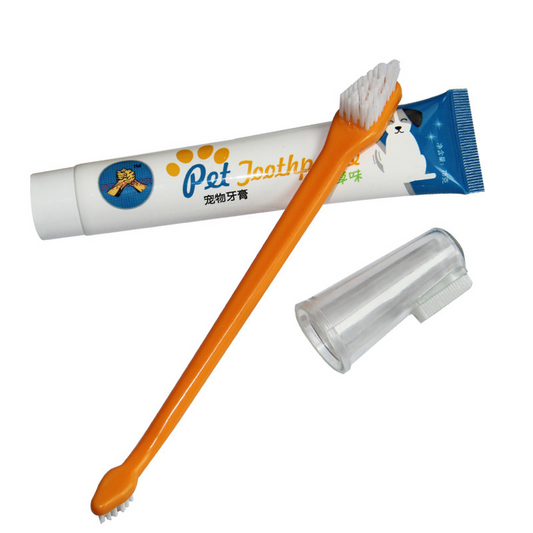 Dentifrice pour chien et chat – Liquidation finale