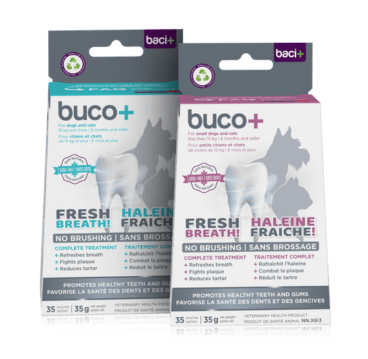 Buco+ 150mg – Soins Dentaires Naturels pour Chiens et Chats +15KG