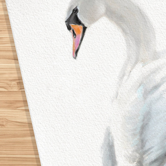 Swan Art Print