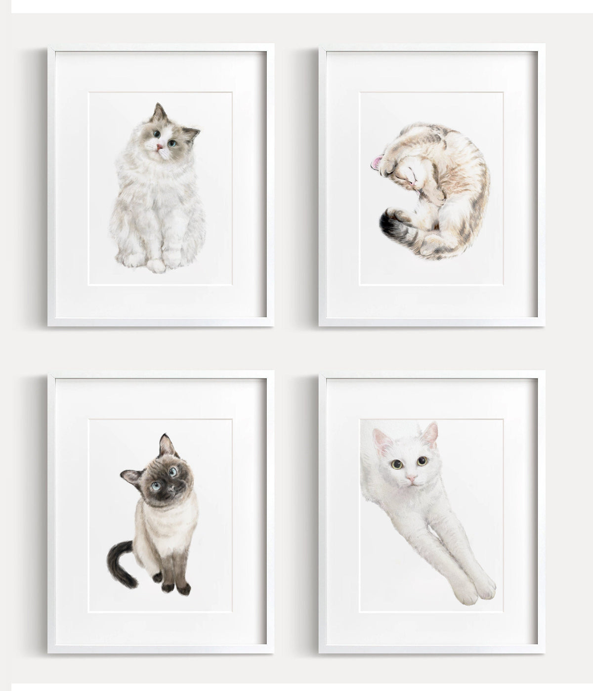 Ragdoll Cat Art Print