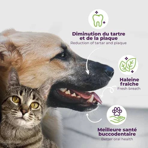 Buco+ 100mg – Soins Dentaires Naturels pour Chats et Chiens -15KG