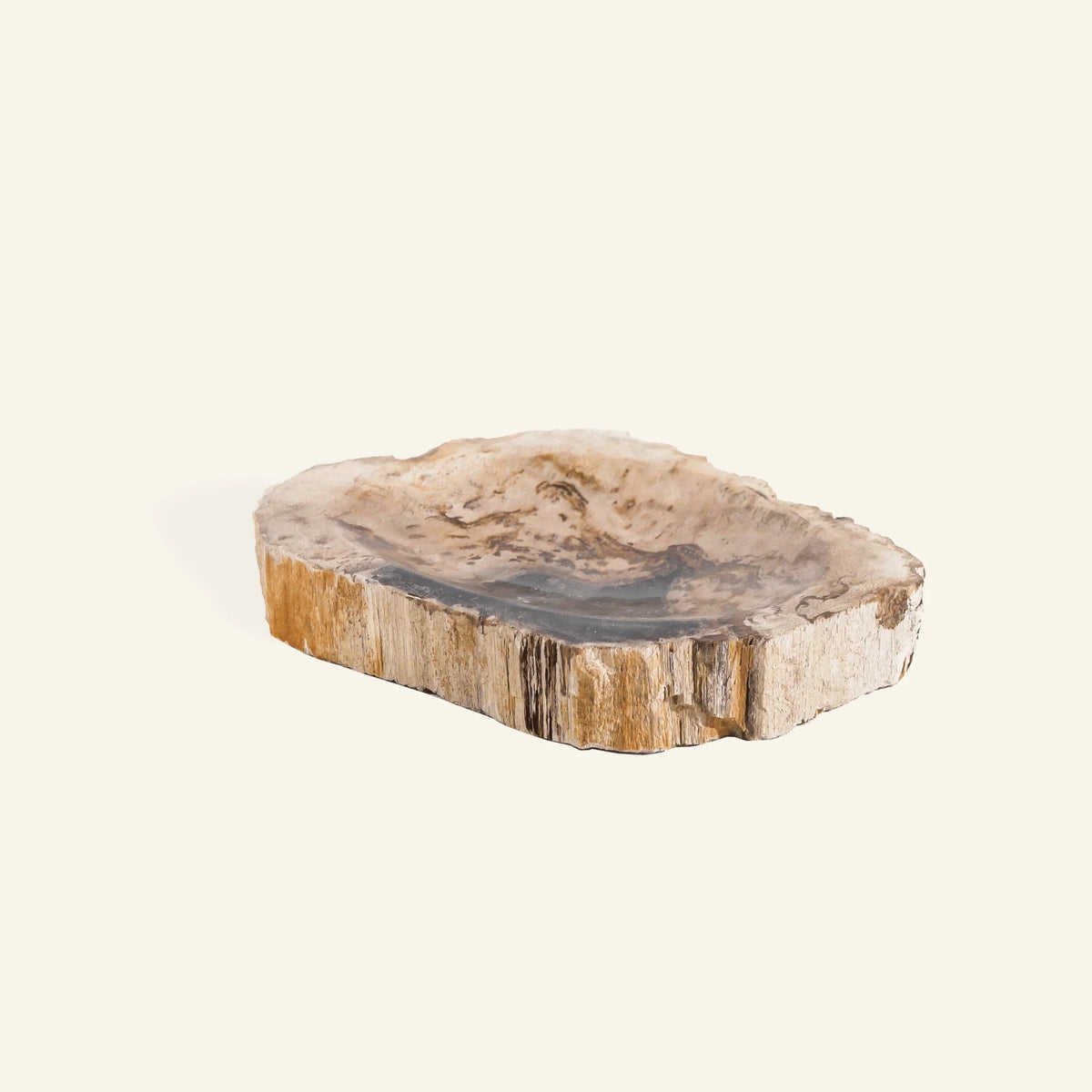 Porte savon en bois pétrifié