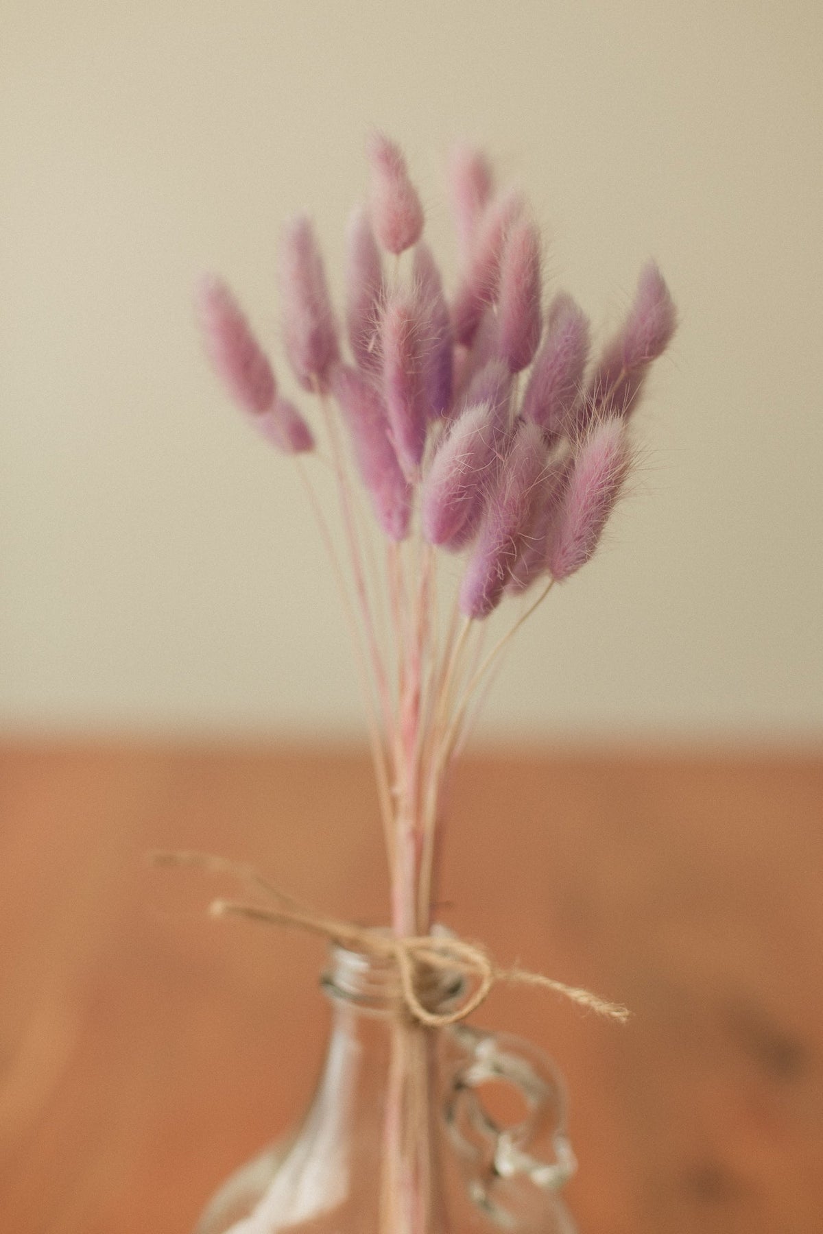Bunny Tails