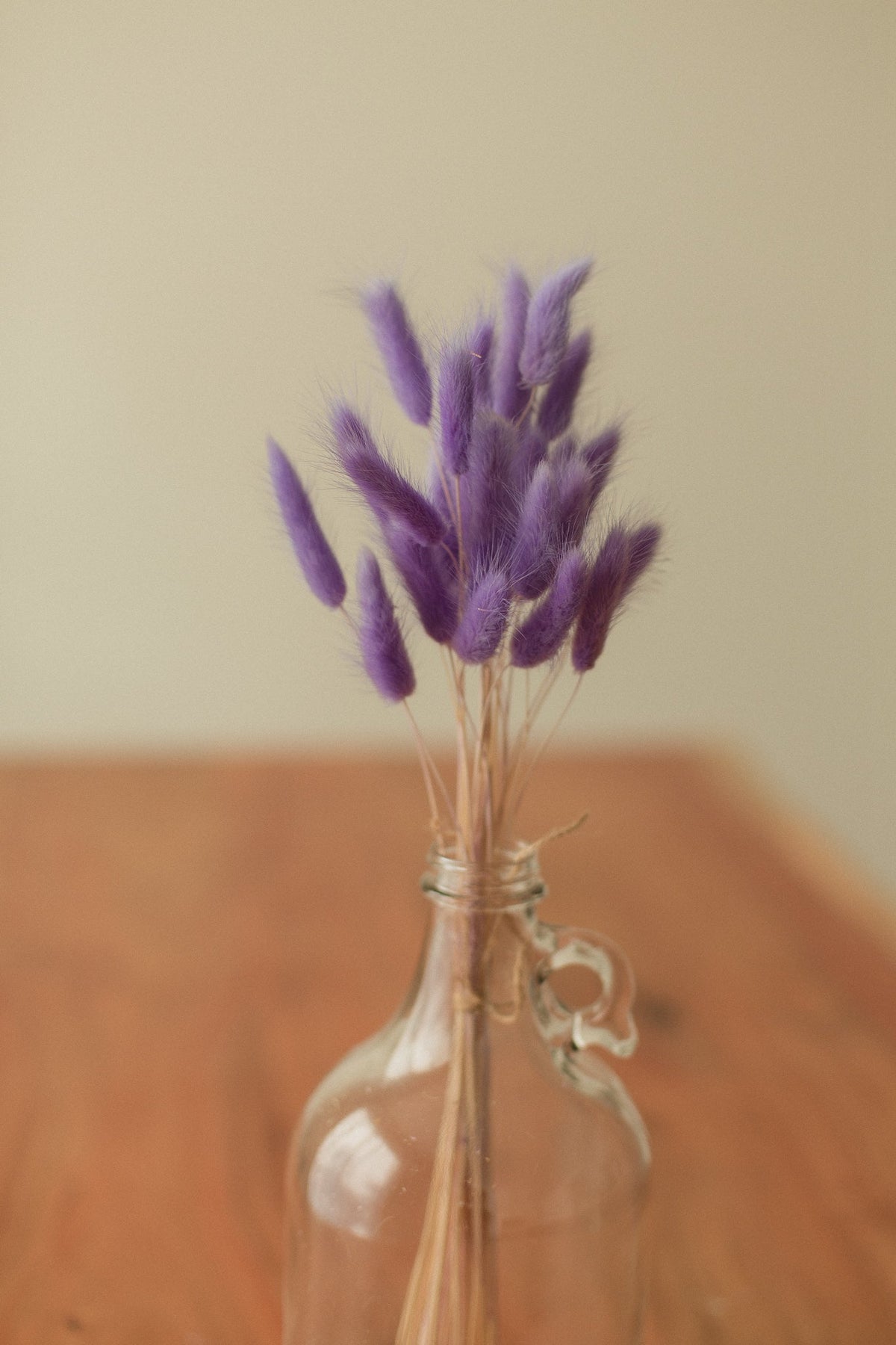 Bunny Tails