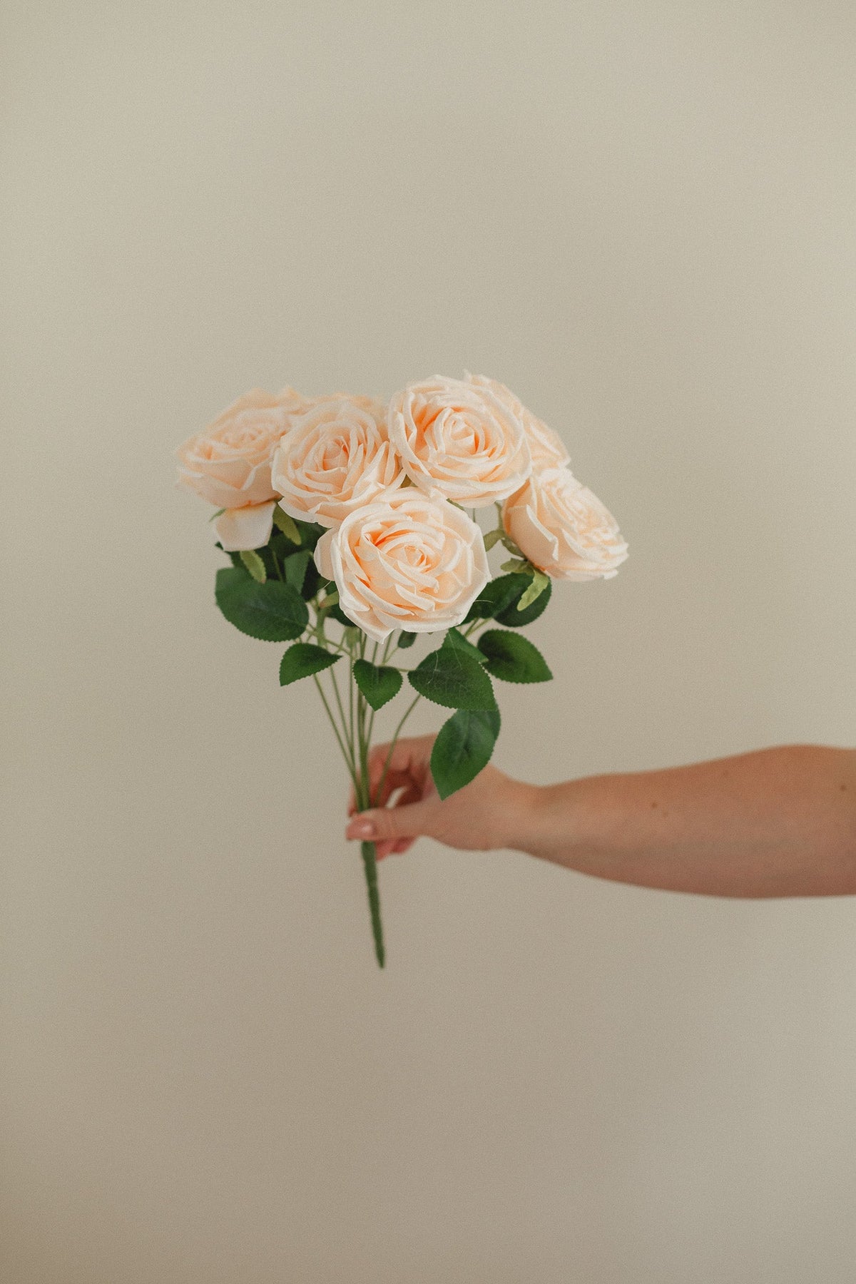 New Rose Bundle