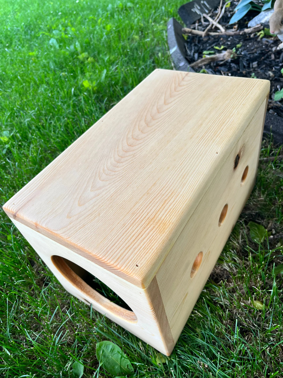 Rabbit Hidey House & Tunnel