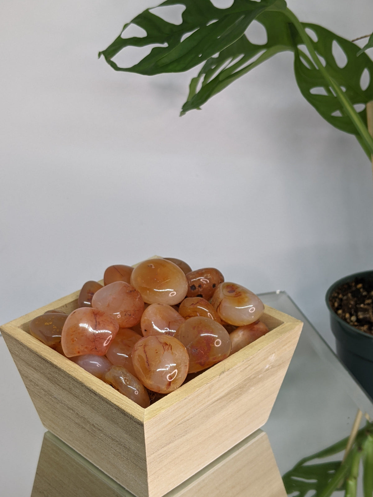 Carnelian Tumbles