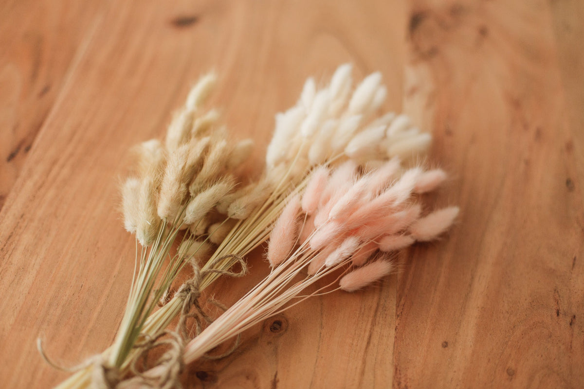 Bunny Tails