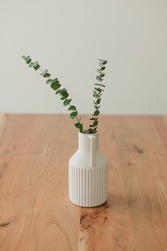 Preserved Stems - Medium