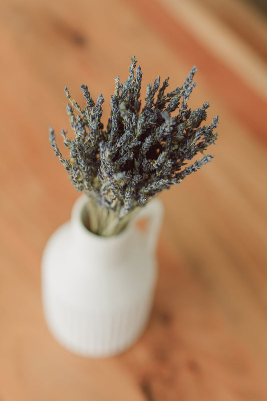 Lavender Bundle