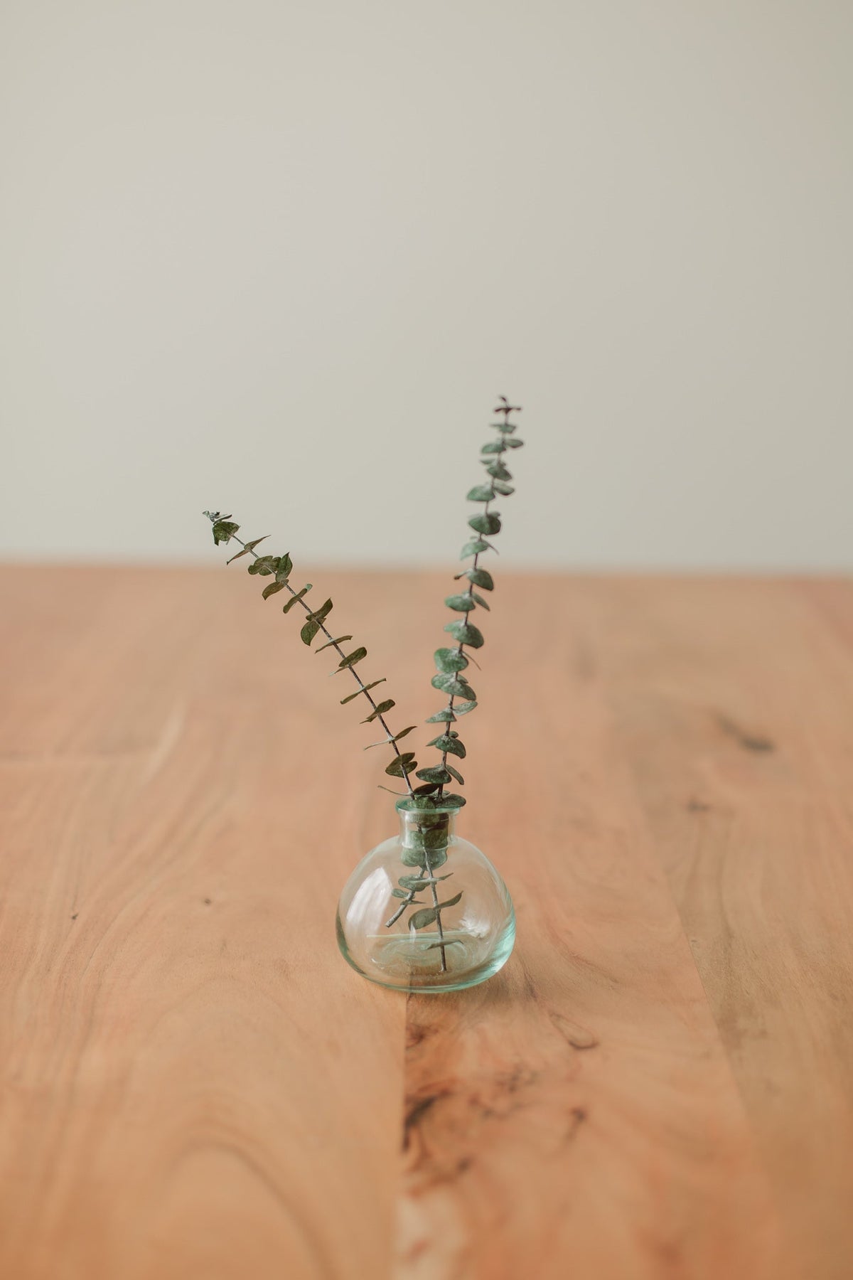 Preserved Small Stems