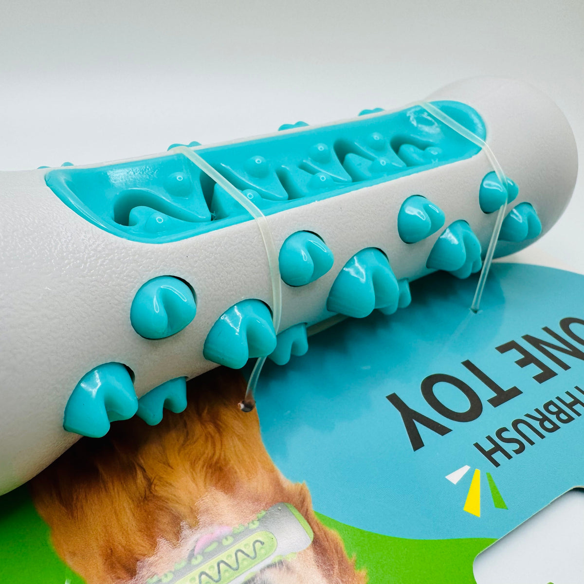 Molar Chew & Dental Toy for Dogs