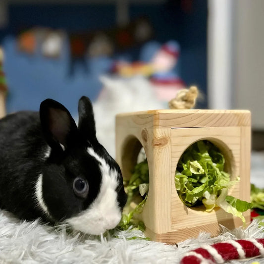 Small Animal Hay Cube