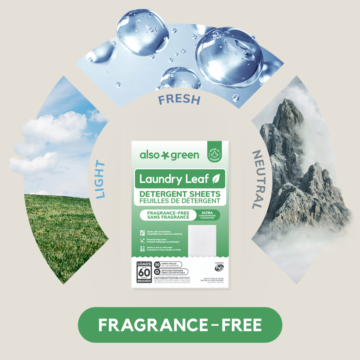 Laundry Detergent Sheets