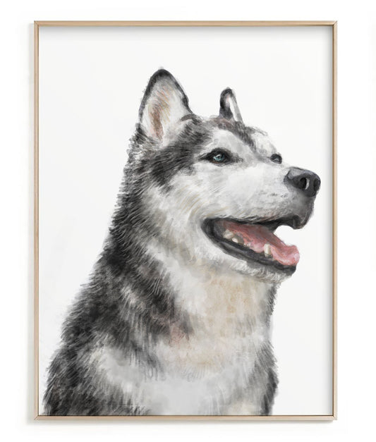 Husky Dog Art Print