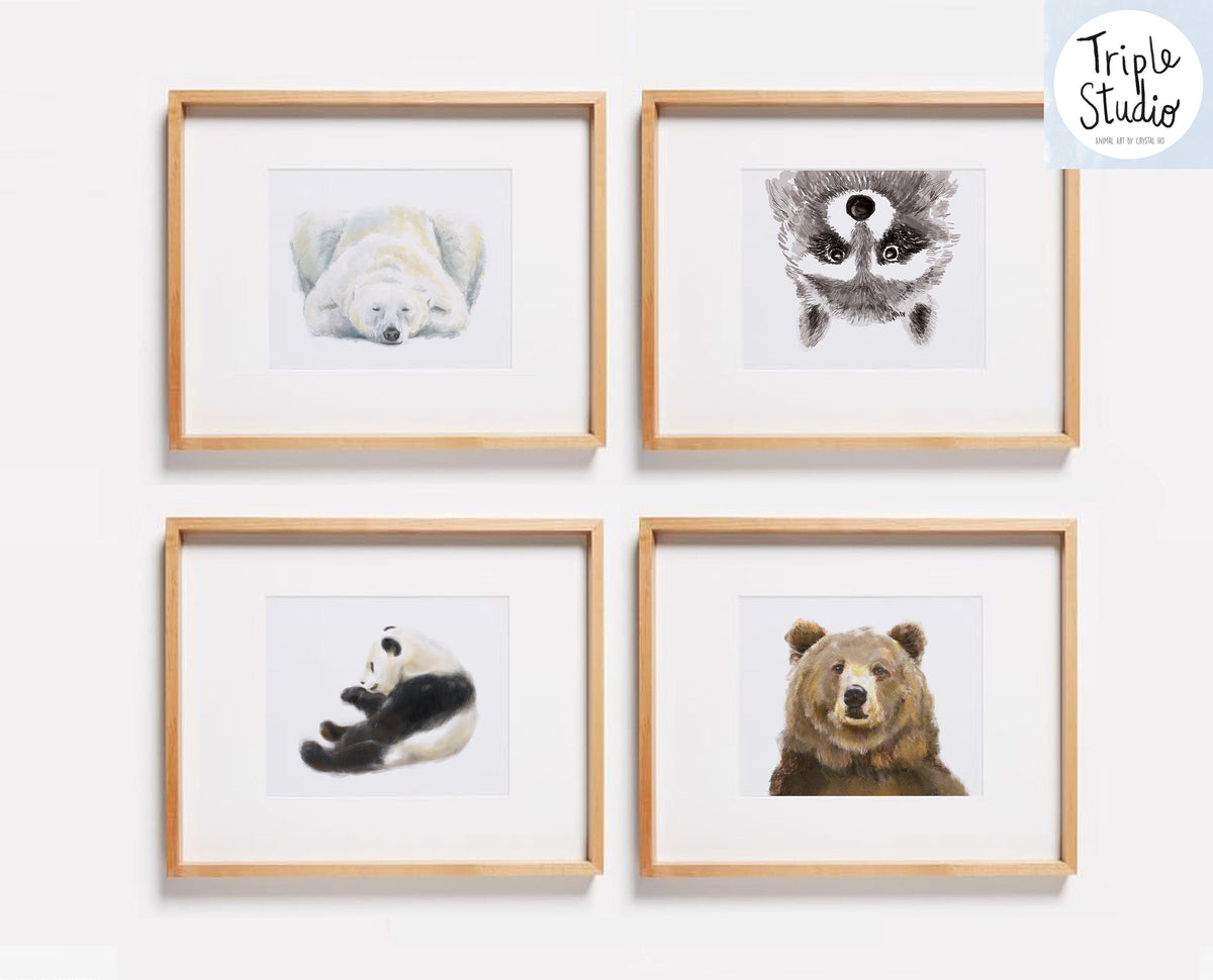 Raccoon Art Print