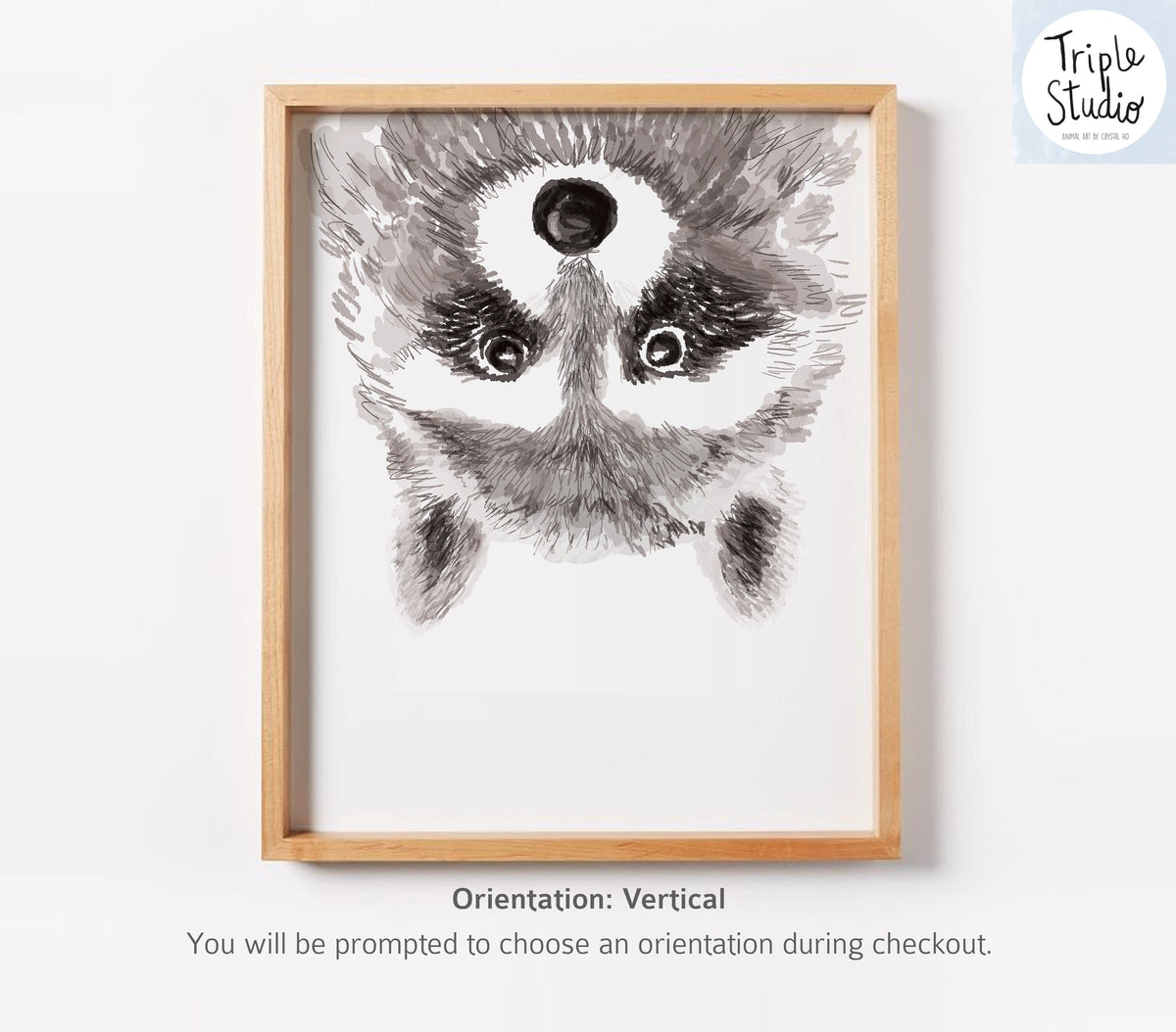 Raccoon Art Print