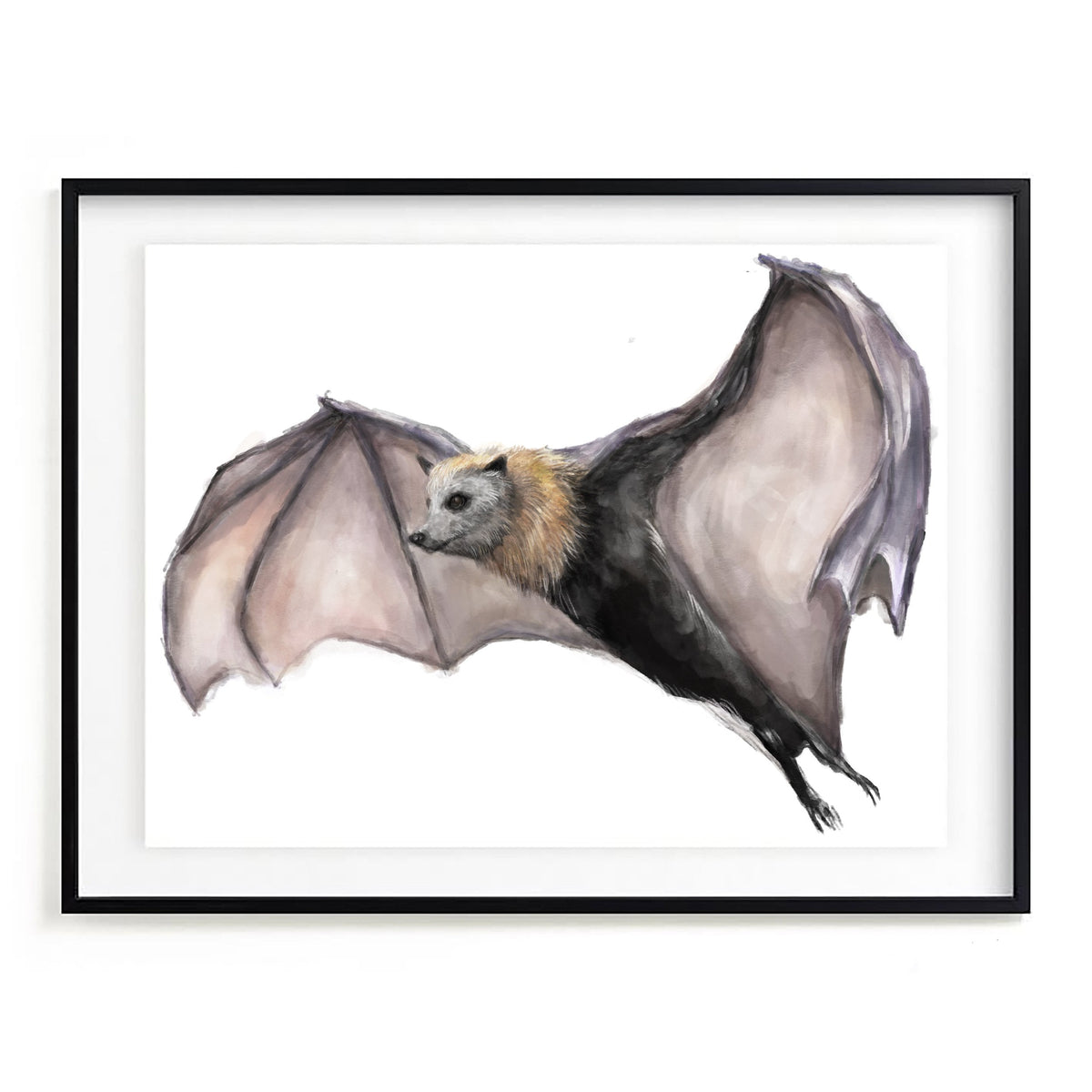 Bat Wall Art Print