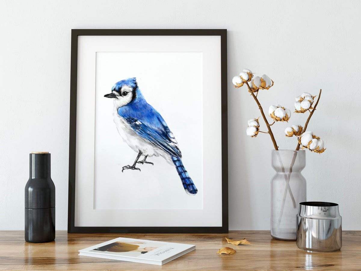 Blue Jay Bird Art Print