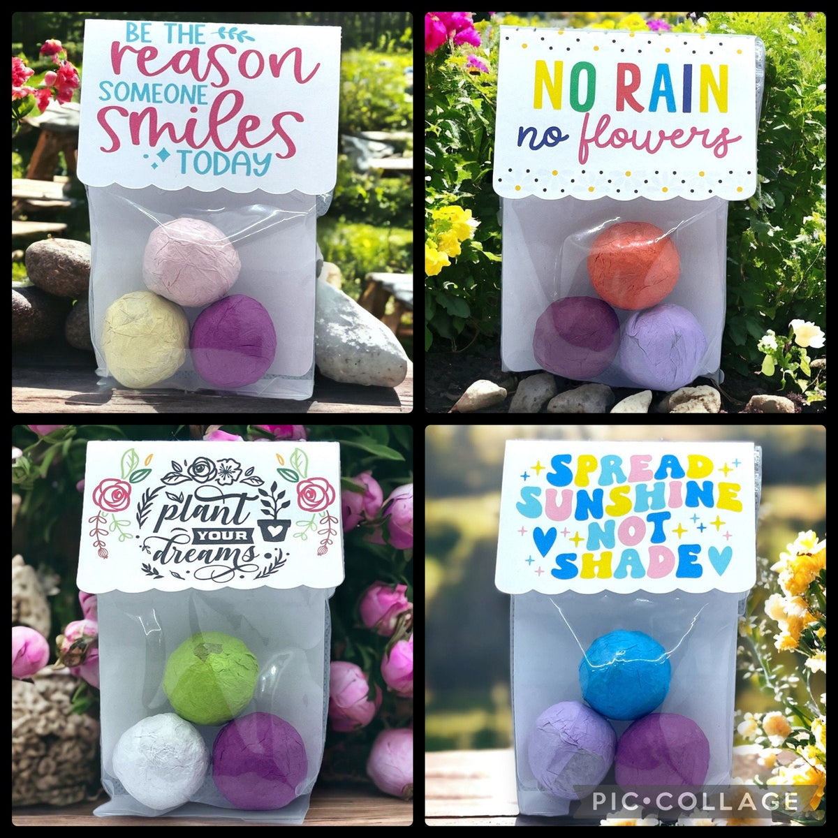 Seed Bombs - 3 Pack - Canadian Wildflower
