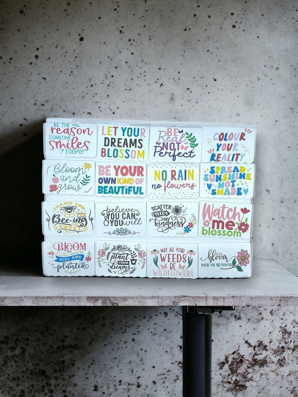 Seed Bombs - 3 Pack - Canadian Wildflower