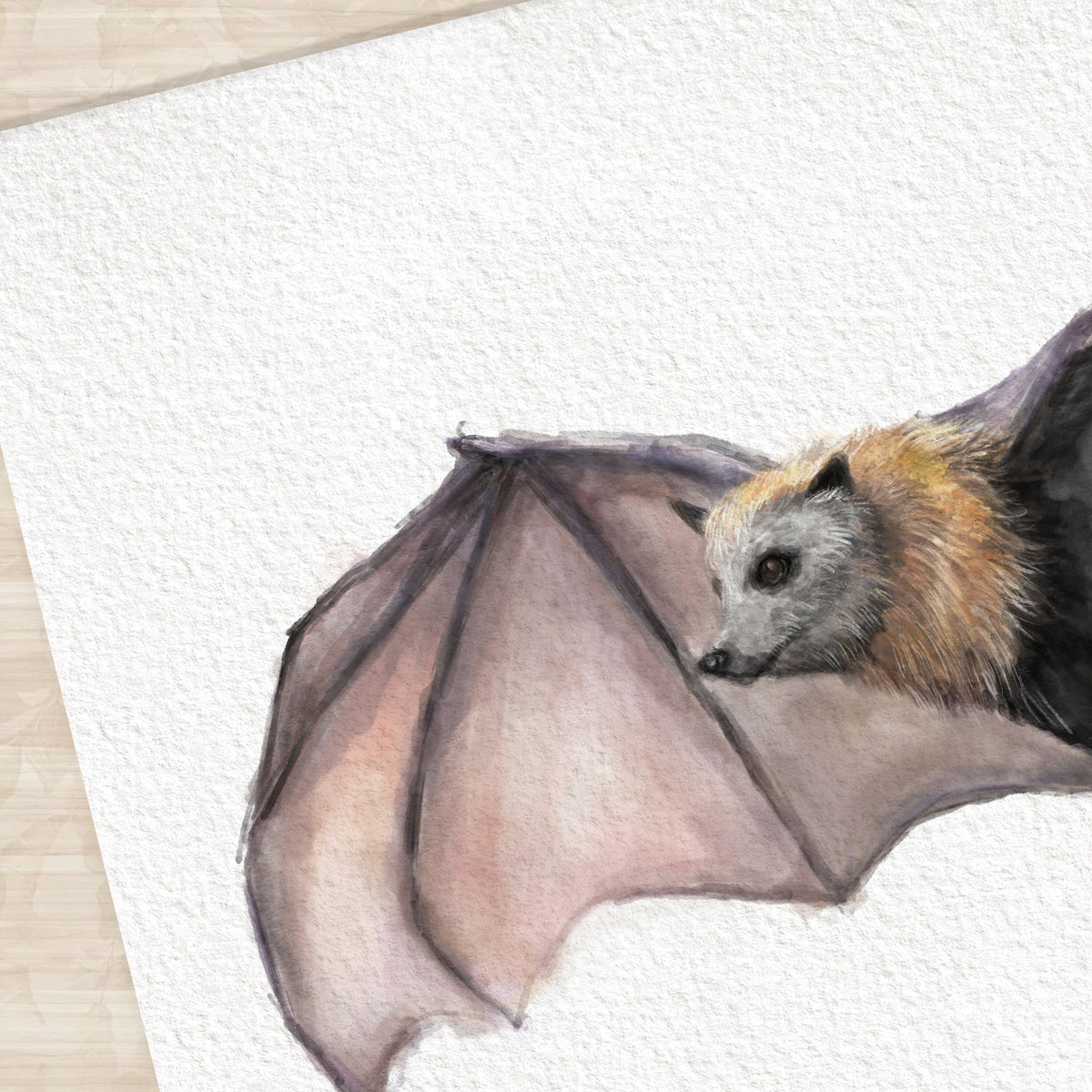 Bat Wall Art Print