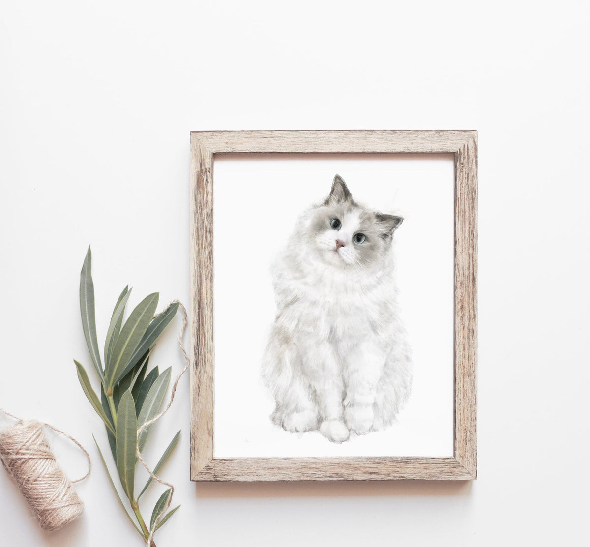 Ragdoll Cat Art Print