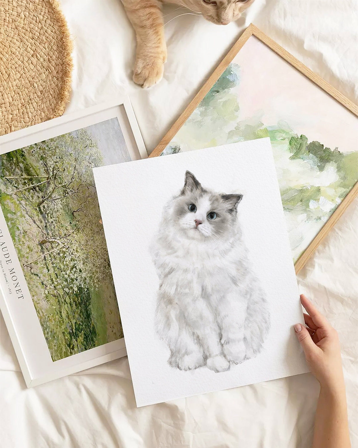 Ragdoll Cat Art Print