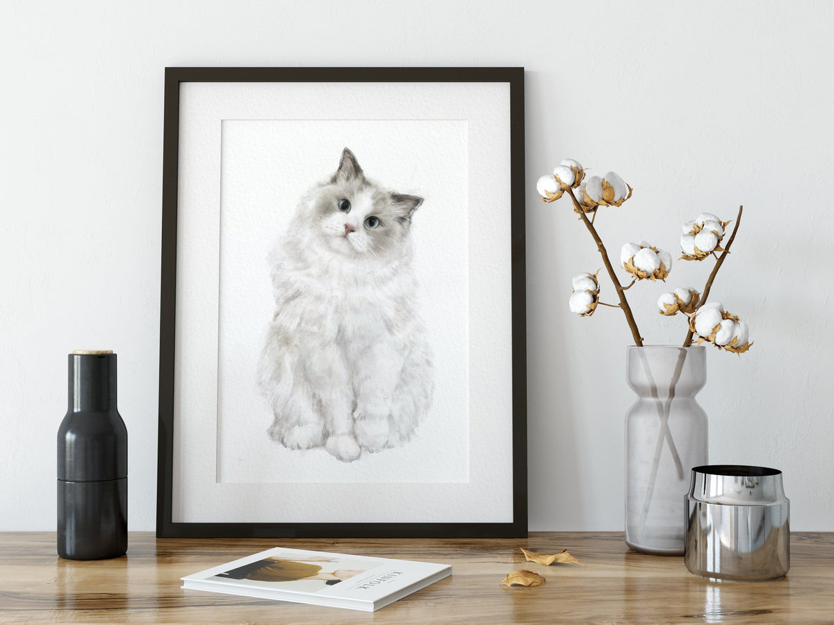 Ragdoll Cat Art Print