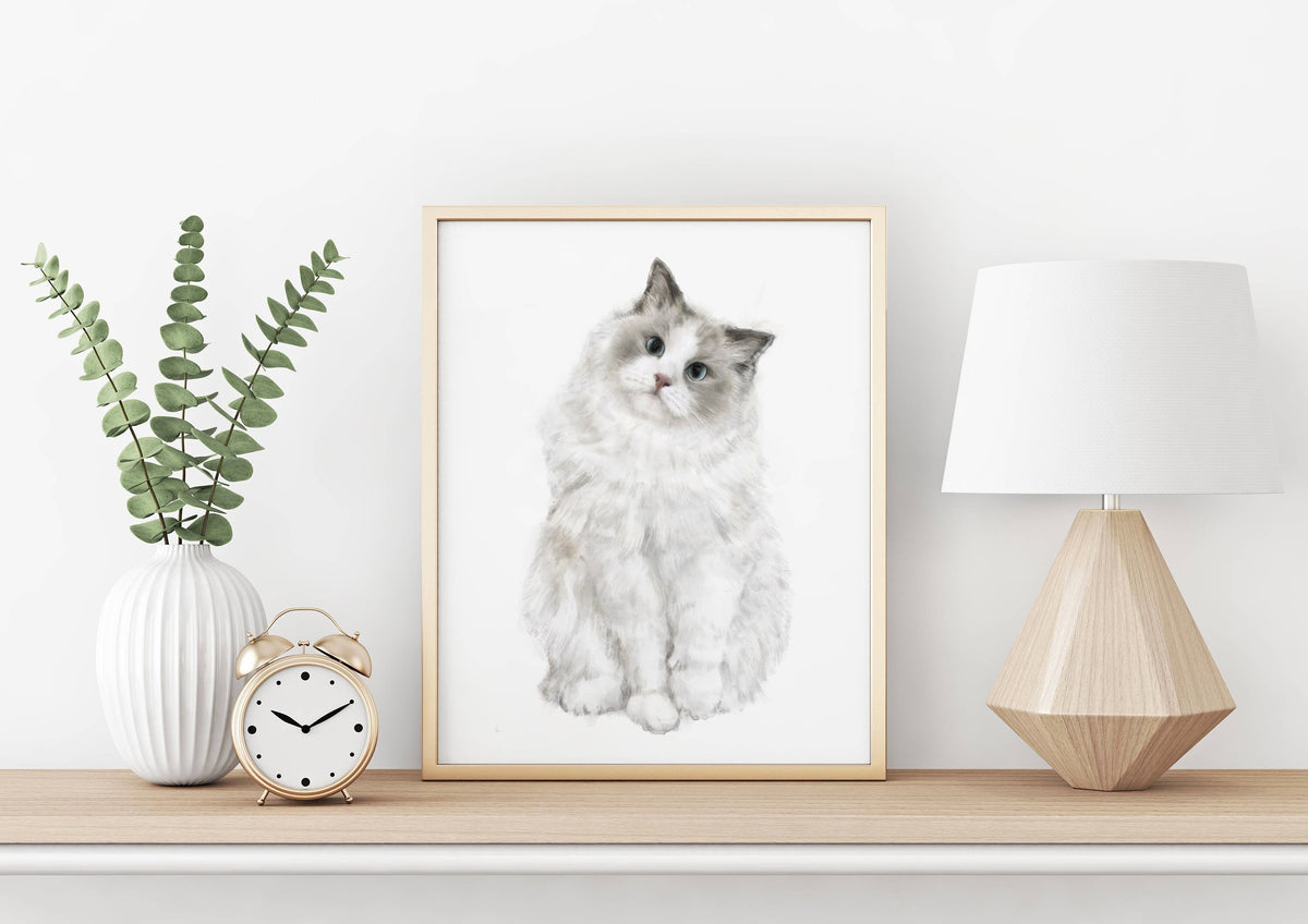 Ragdoll Cat Art Print