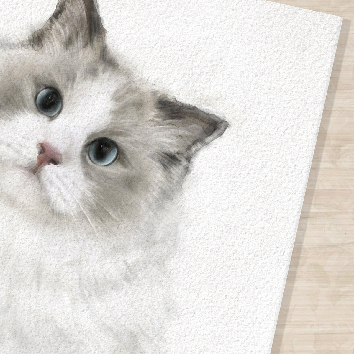 Ragdoll Cat Art Print
