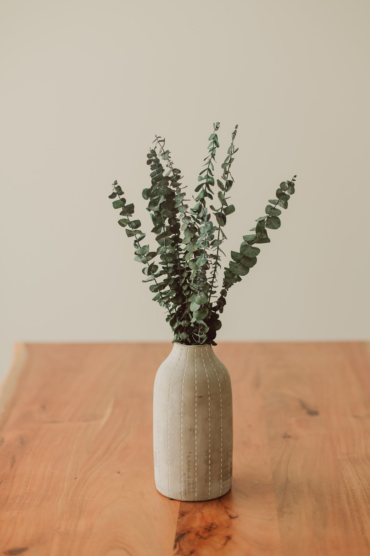 Eucalyptus Stem Bundle