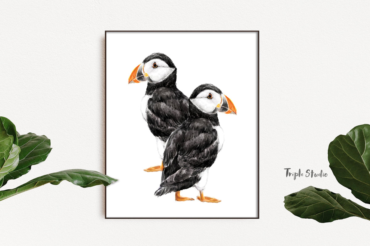 Puffin Watercolor Painting