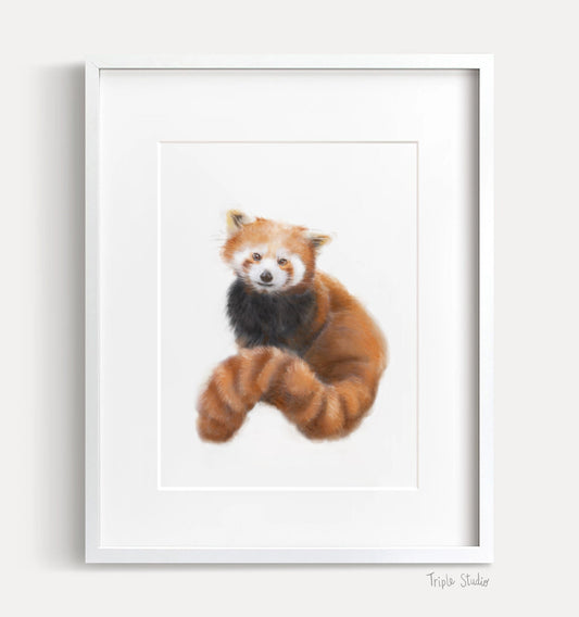 Red Panda Art Print