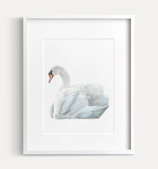Swan Art Print