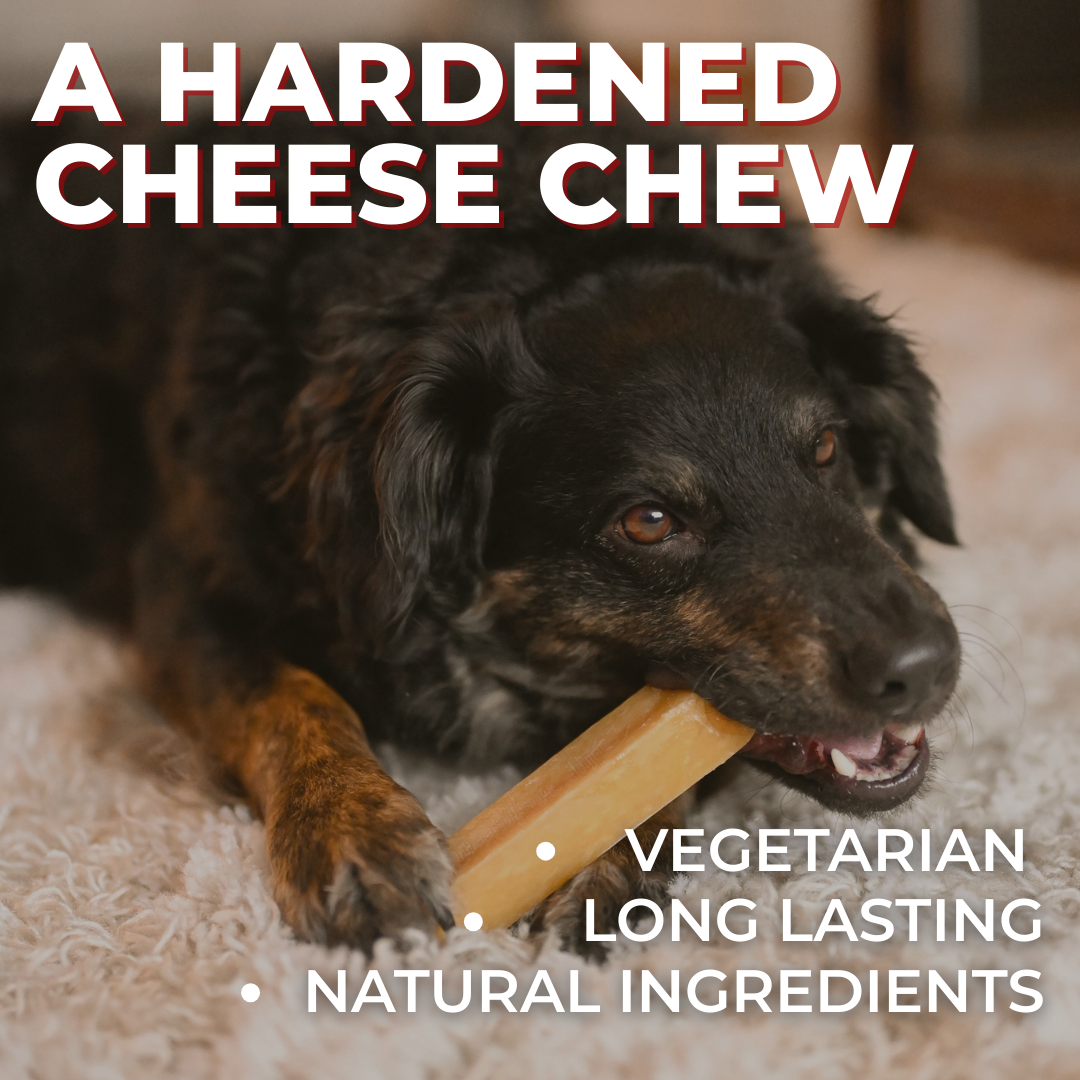 Himalayan Yak Chew (LARGE)