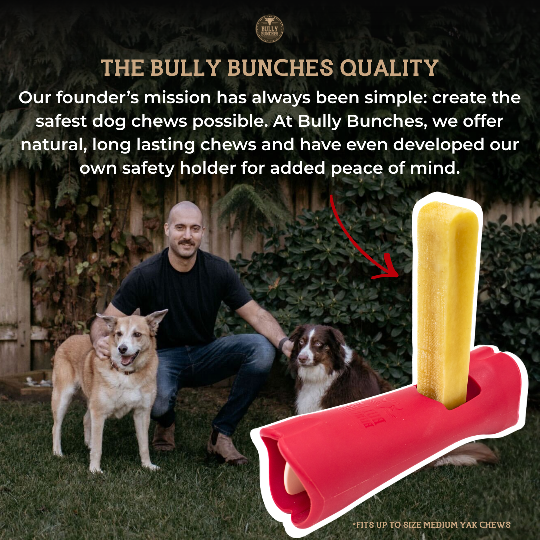 Himalayan Yak Chew (LARGE)